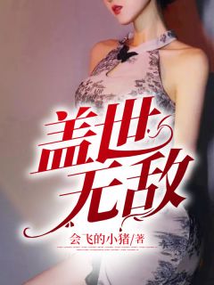 王婿无敌