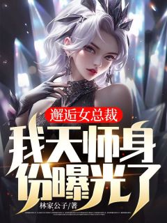 邂逅女总裁：我天师身份曝光了