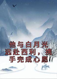 他与白月光远赴西利，携手完成心愿