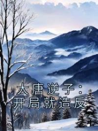 大唐逆子：开局就造反