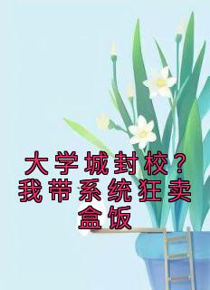 大学城封校？我带系统狂卖盒饭