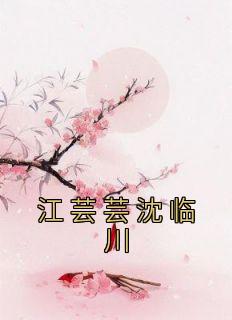 江芸芸沈临川