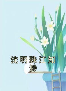 沈明珠江知渺