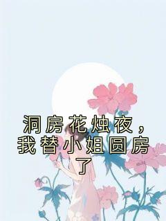 洞房花烛夜，我替小姐圆房了