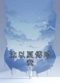 沈以夏傅时安