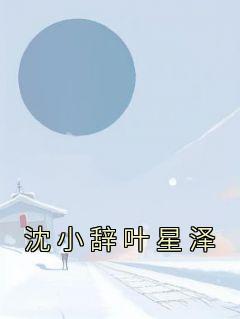 沈小辞叶星泽