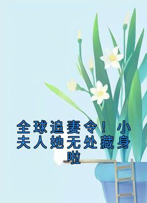 全球追妻令！小夫人她无处藏身啦